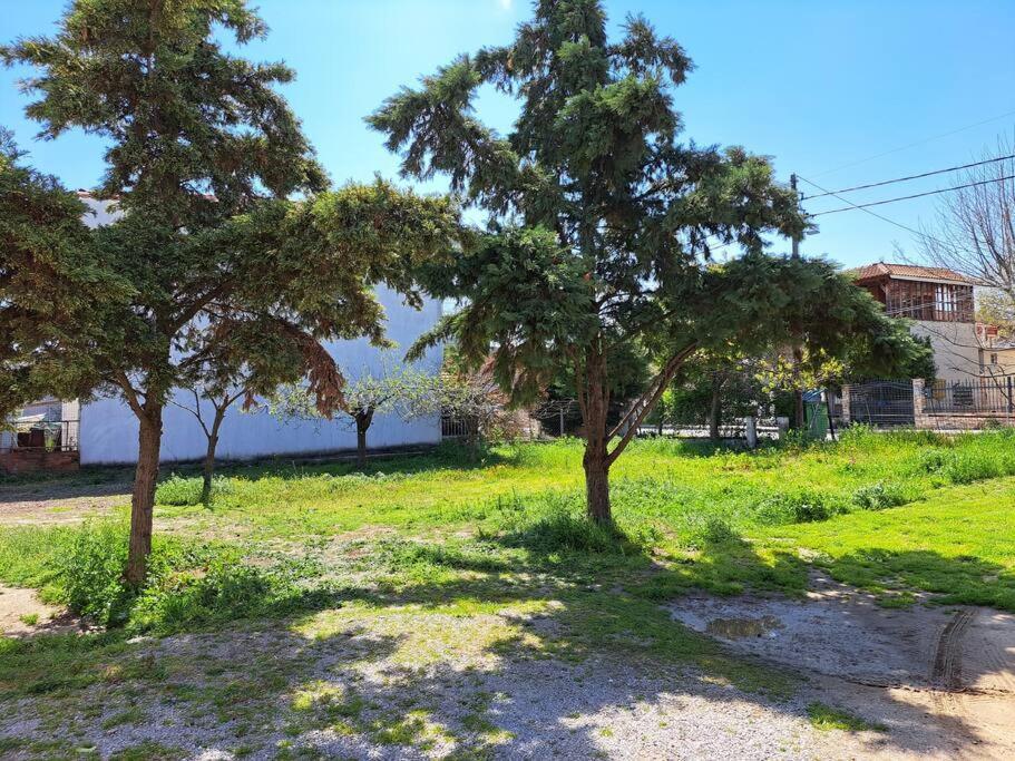 Villa Elenis 190sqmeter With Private Parking And Garden 10min Away From Centre *
