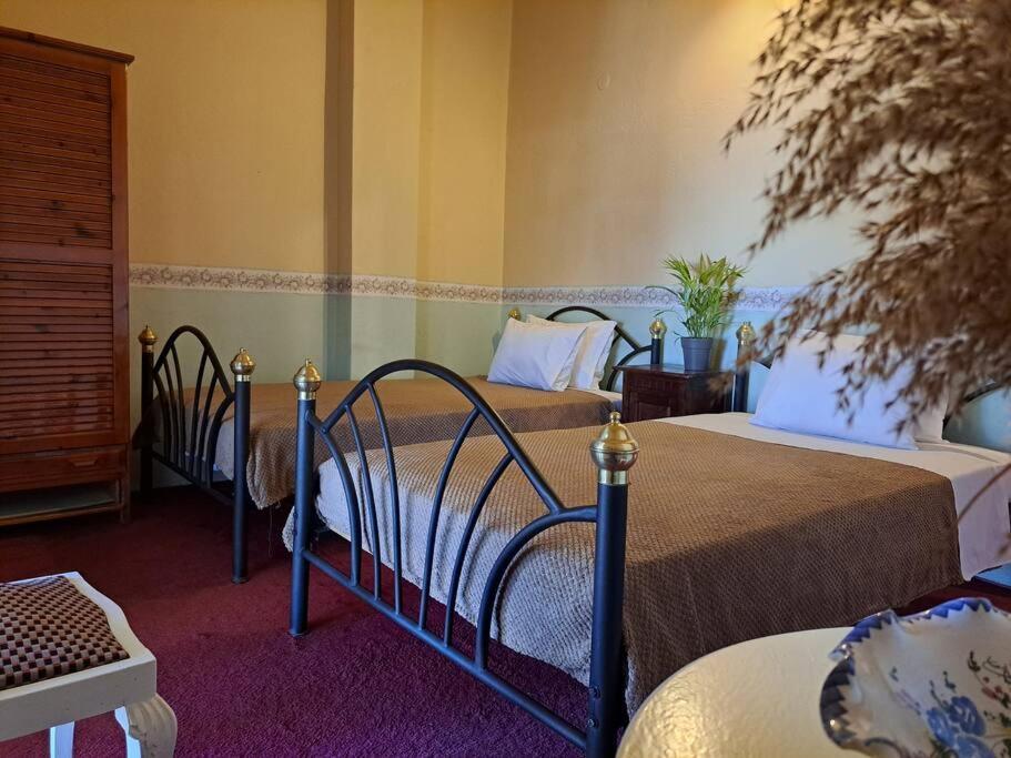 Elenis 190sqmeter With Private Parking And Garden 10min Away From Centre Villa