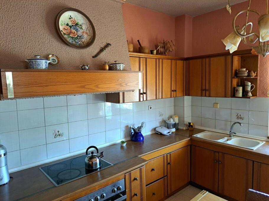 Elenis 190sqmeter With Private Parking And Garden 10min Away From Centre * Thessaloniki