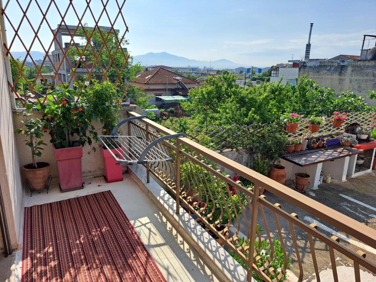 Elenis 190sqmeter With Private Parking And Garden 10min Away From Centre * Thessaloniki