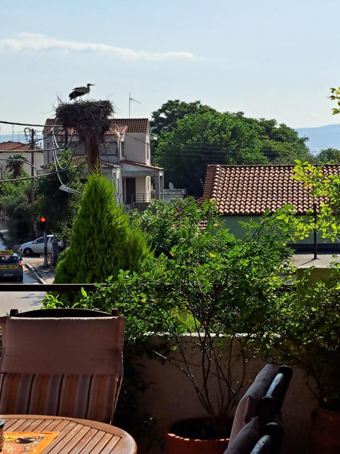 Villa Elenis 190sqmeter With Private Parking And Garden 10min Away From Centre