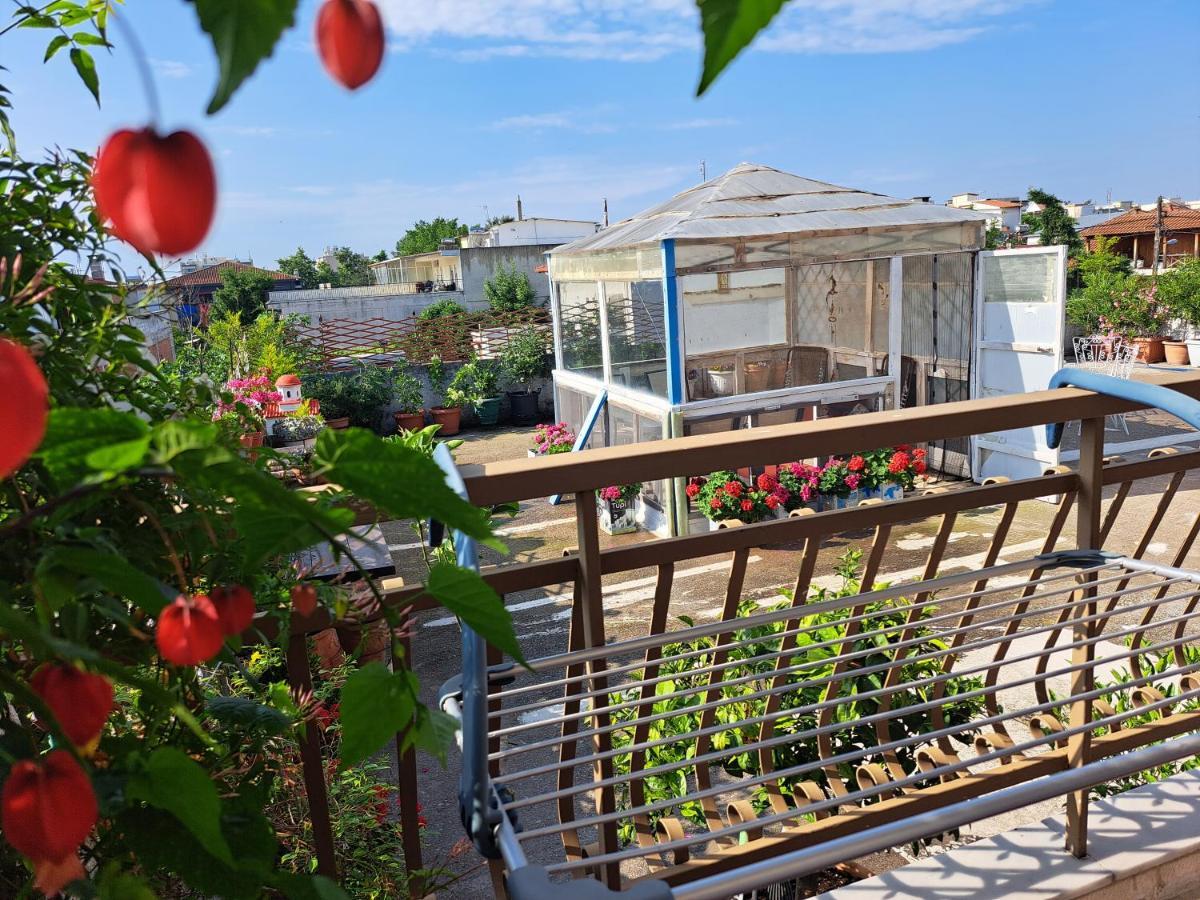 Villa Elenis 190sqmeter With Private Parking And Garden 10min Away From Centre *