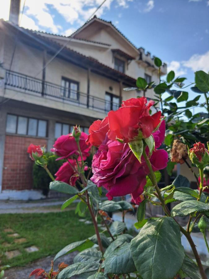 Villa Elenis 190sqmeter With Private Parking And Garden 10min Away From Centre