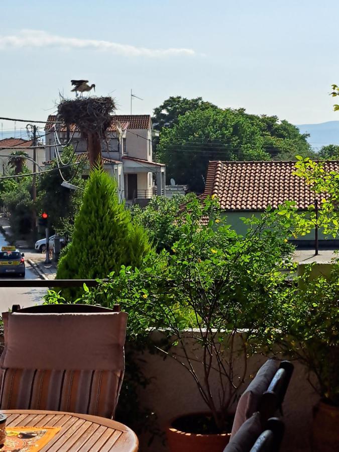 Villa Elenis 190sqmeter With Private Parking And Garden 10min Away From Centre